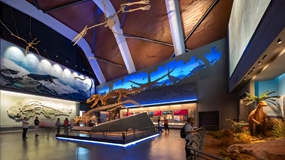 打造数字化海洋博物(wù)馆都具备哪些价值？